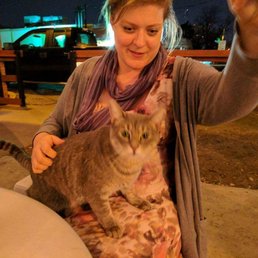 K.P., aka "bar kitty"!