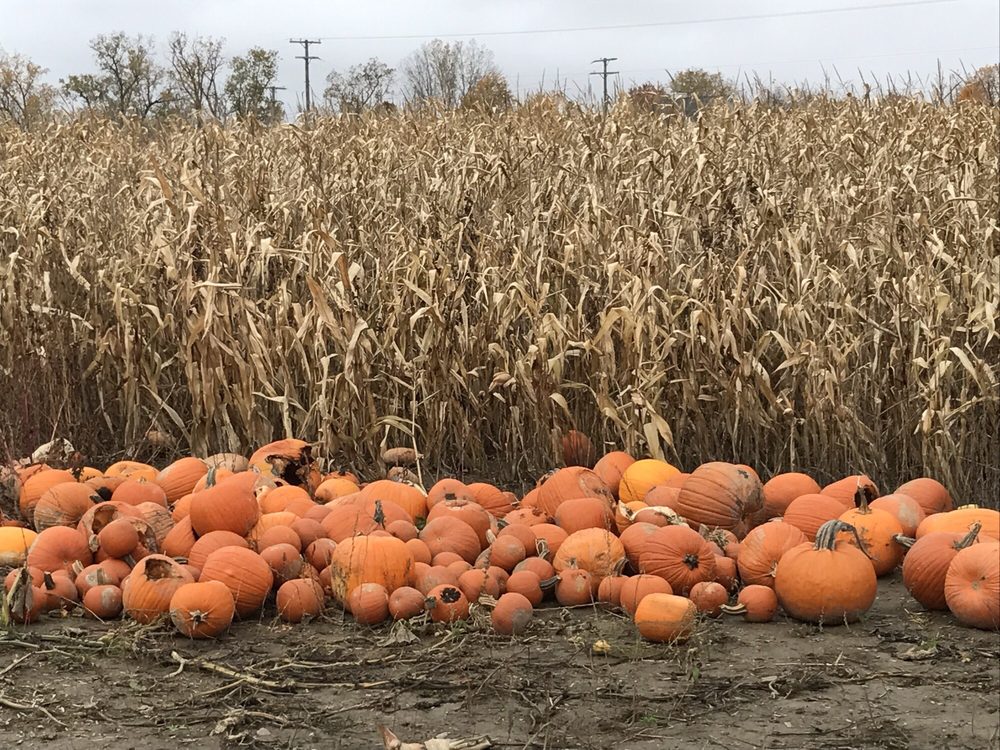 DEBRUYN PRODUCE Updated August 2024 16500 Armada Center Rd, Armada