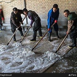 Radin Rugs and Kilims - Rug cleaning by hand using organic shampoo.we do rug repair,side bonding,prince repair,moth proofing stain removing such as pet.urine,wine..