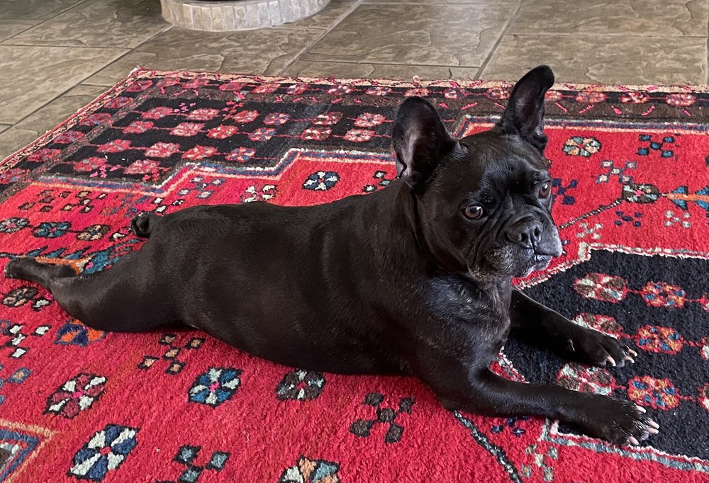 Susans LIttle Light Of Mine Daycare - childcare center in Ventura, CA