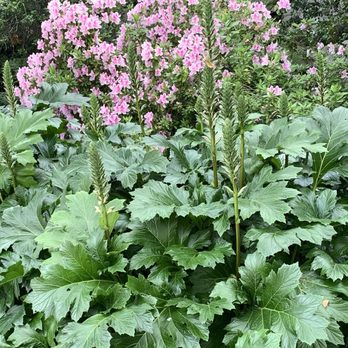ORCUTT RANCH HORTICULTURAL CENTER PARK - Updated June 2026 - 417 Photos ...