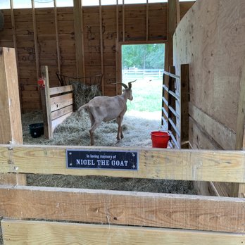 The Gray Barn - Goat barn - Bed & Breakfast Near Me - High Falls, New York