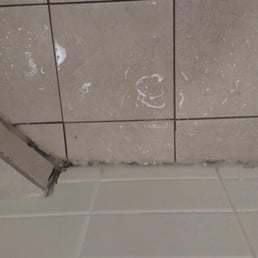Leaking shower mold all around the wall.