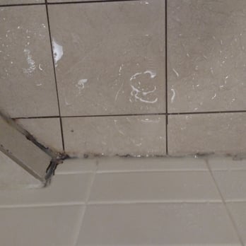 Le Merigot Hotel - Leaking shower mold all around the wall. - Hotels Near Me - Evansville, Indiana