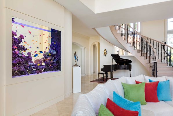 Jellyfish Art by null