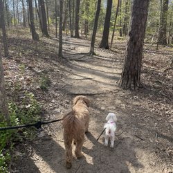 Big Rock Nature Preserve