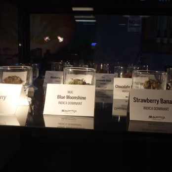 Emerald Farm Tours - Magnolia dispensary, Oakland. - Cannabis Tours Near Me - San Francisco, California Emerald Farm Tours - Magnolia dispensary, Oakland. - Cannabis Tours Near Me - San Francisco, California