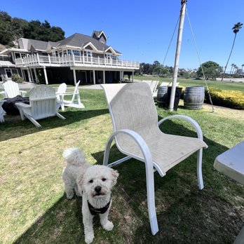 Mulligan's Restaurant - Outdoor patio lawn - New American Near Me - Avila Beach, California