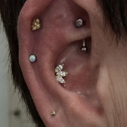 Iron Forged Body Piercings - Many beautiful piercings and top quality jewelry from X and Mars at Iron Forged