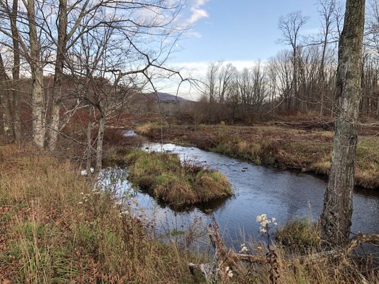 The Windham Path by null