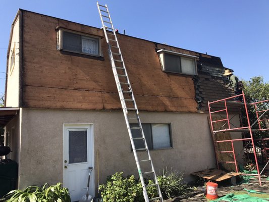 Solution Roofing