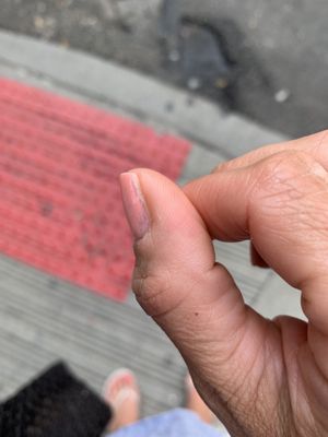 Pretty Polished by null