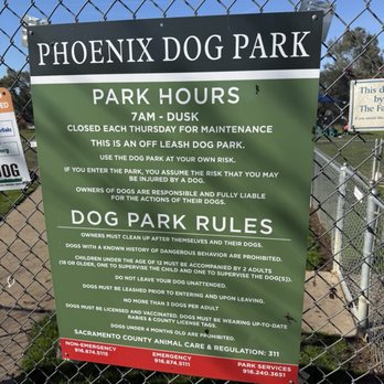 Phoenix Dog Park - Dog Parks Near Me Phoenix Dog Park - Dog Parks Near Me