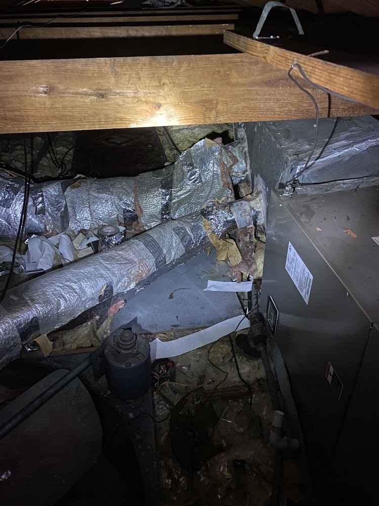 CLIMATE KING Updated August 2024 37 Photos & 10 Reviews 215