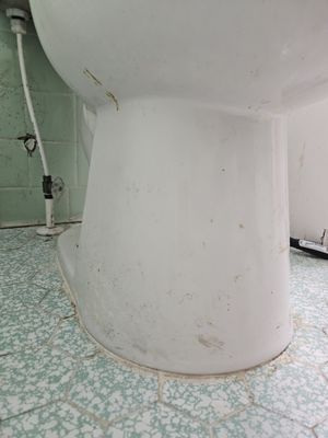 Royal Maids of Orlando