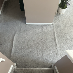 Metro Carpet & Floors - Whole house has buckles and ripples everywhere