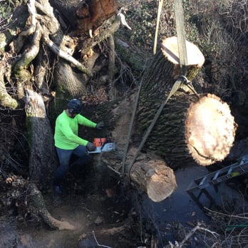 Pacific Crest Arborist - Tree Services Near Me Pacific Crest Arborist - Tree Services Near Me