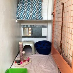 Pet Chalet Cattery
