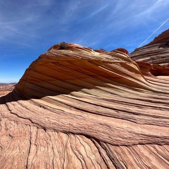 The Wave at Coyote Buttes - Hiking Near Me