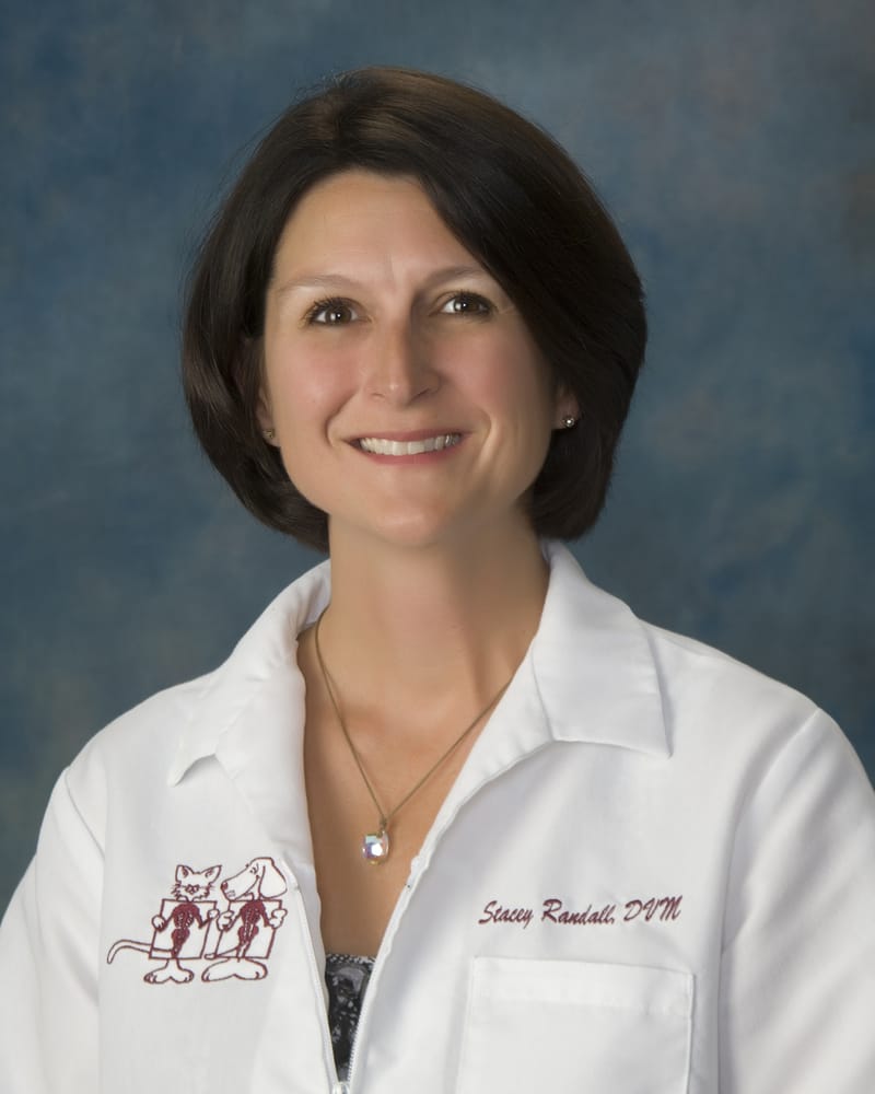 RANDALL STACEY Updated October 2024 1524 Bienville Blvd, Ocean