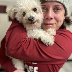 Pine City Animal Hospital