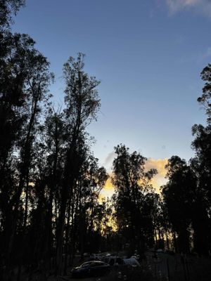 Anthony Chabot Regional Park by null