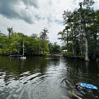 Morrison Springs - Deep swimming area - Parks Near Me - Ponce de Leon, Florida