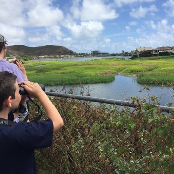 Hawaii Bird Tours - Tours Near Me Hawaii Bird Tours - Tours Near Me