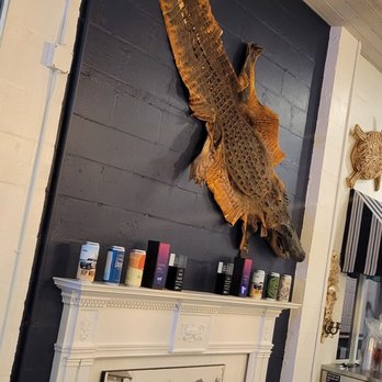 Dunes Brewing - a large alligator mounted on the wall - Breweries Near Me - Port Orange, Florida Dunes Brewing - a large alligator mounted on the wall - Breweries Near Me - Port Orange, Florida
