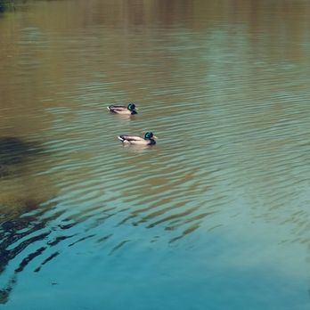 Loyd Park - Parks Near Me - Grand Prairie, Texas Loyd Park - Parks Near Me - Grand Prairie, Texas