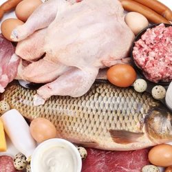 San Francisco Nutritional Therapy