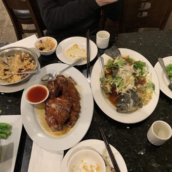 The Noble Chef - The Noble Chef never fails. Their steamed sea bass, roast meats, and freshly made-to-order claypot rice are absolute must-trys. - Chinese Near Me - San Diego, California The Noble Chef - The Noble Chef never fails. Their steamed sea bass, roast meats, and freshly made-to-order claypot rice are absolute must-trys. - Chinese Near Me - San Diego, California