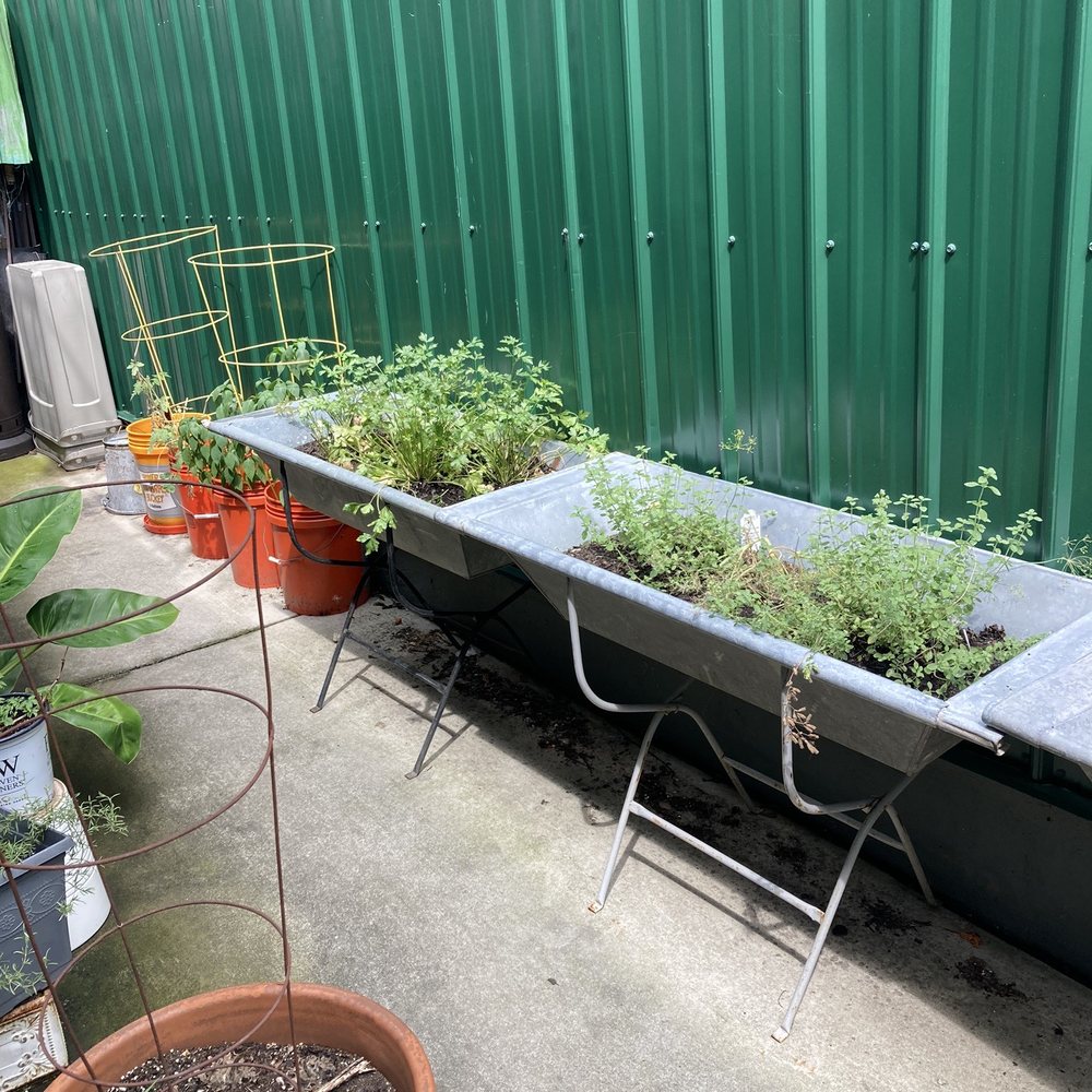 Culinary Architecture - Fresh herbs - Specialty Food Near Me - Baltimore, Maryland Culinary Architecture - Fresh herbs - Specialty Food Near Me - Baltimore, Maryland