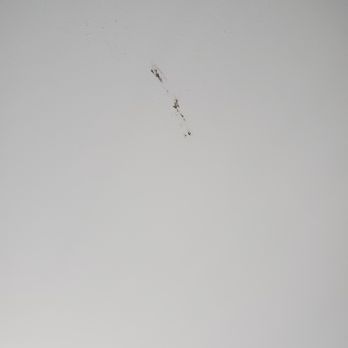 Wingate by Wyndham Niagara Falls - "Brown" stuff smeared on the ceiling over one of the beds. - Hotels Near Me - Niagara Falls, New York Wingate by Wyndham Niagara Falls - "Brown" stuff smeared on the ceiling over one of the beds. - Hotels Near Me - Niagara Falls, New York