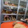 Photo of El Pavo Bakery