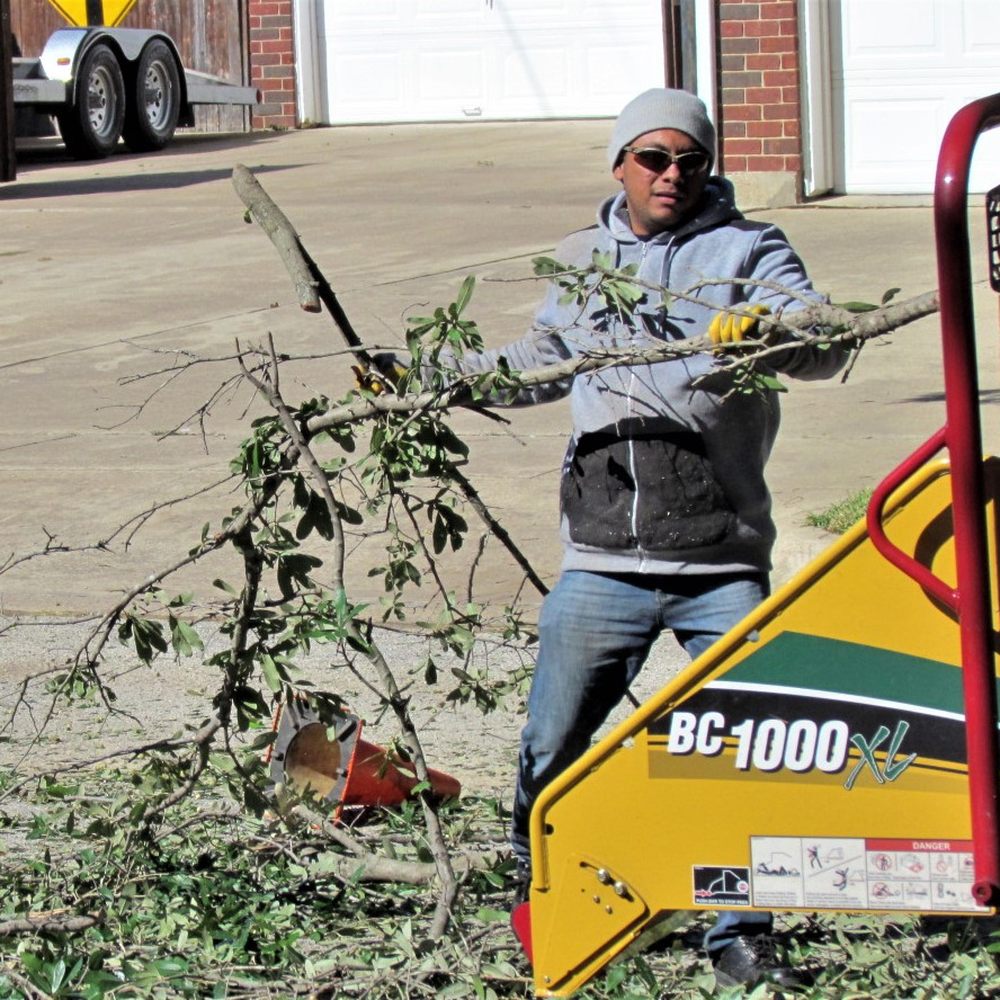 J&J Professional Tree Service - Tree Services Near Me J&J Professional Tree Service - Tree Services Near Me