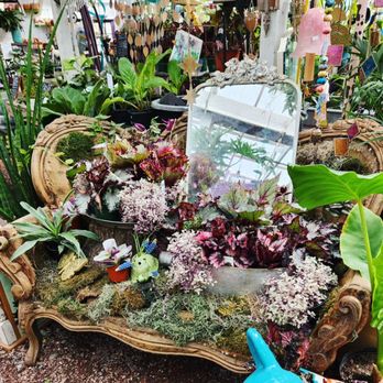 Myers Plants & Pottery - Funky antique couch covered in moss and beautiful houseplants - Nurseries & Gardening Near Me - Pelham, Alabama Myers Plants & Pottery - Funky antique couch covered in moss and beautiful houseplants - Nurseries & Gardening Near Me - Pelham, Alabama