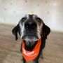 Photo of Townhouse Pet Care
