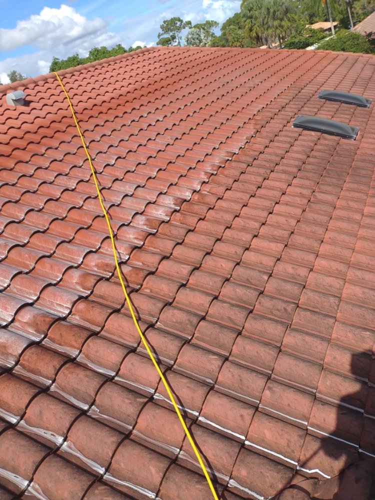 Slide of Elite Roof Cleaning
