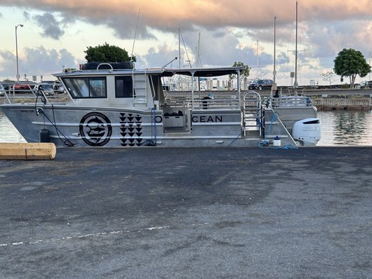 One Ocean Diving by null