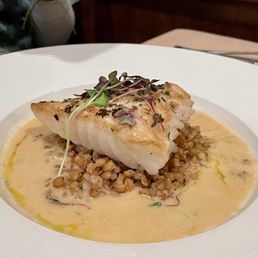 Halibut
