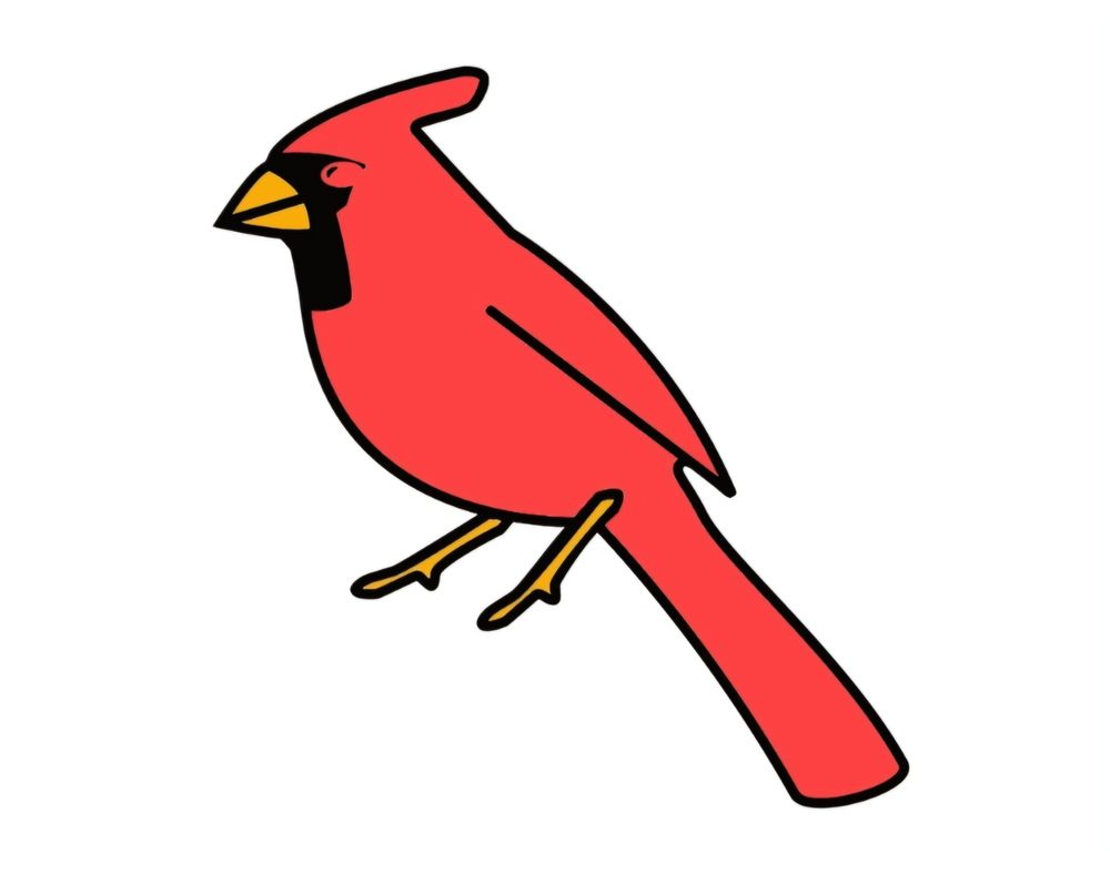 Redbird Cleaning & More