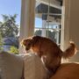 Photo of Mushy Dog Boarding & Day Care