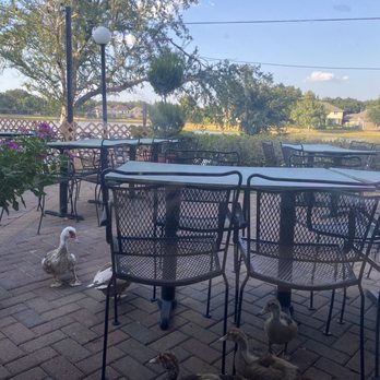 Los Gallitos Mexican Cafe - ducks - Mexican Near Me - Sugar Land, Texas