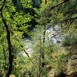 Coquihalla Canyon Provincial Park