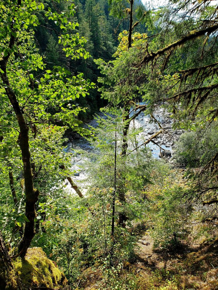 Coquihalla Canyon Provincial Park Logo