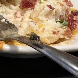 Bullfrogs Bar and Grill - Fly potatoes