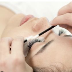 Lash Brows Bar