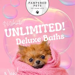 Pampered Pets on Joan Ave