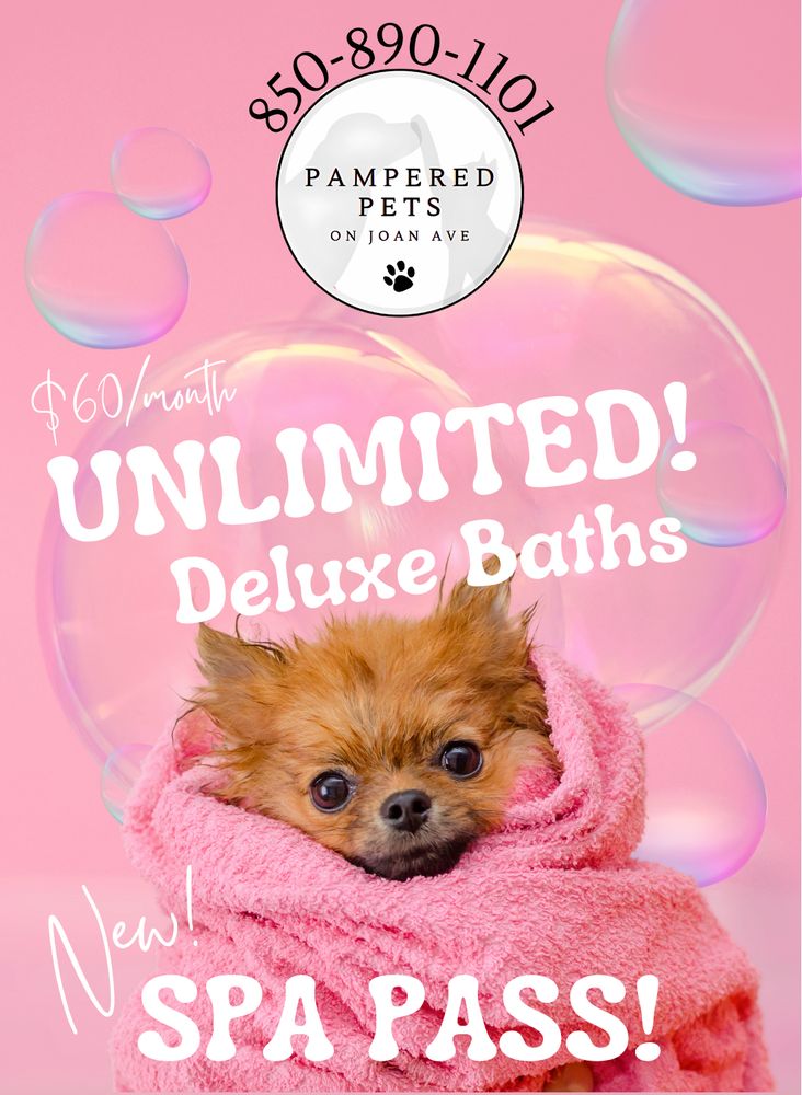Pampered Pets on Joan Ave Image